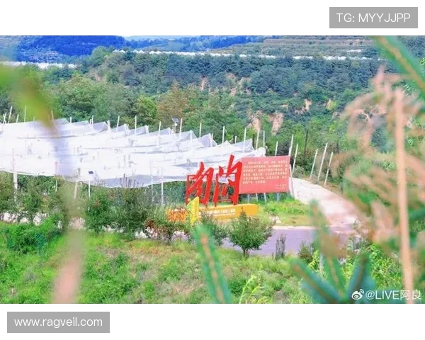 广州攀岩队的奋斗历程与成长故事全景纪实