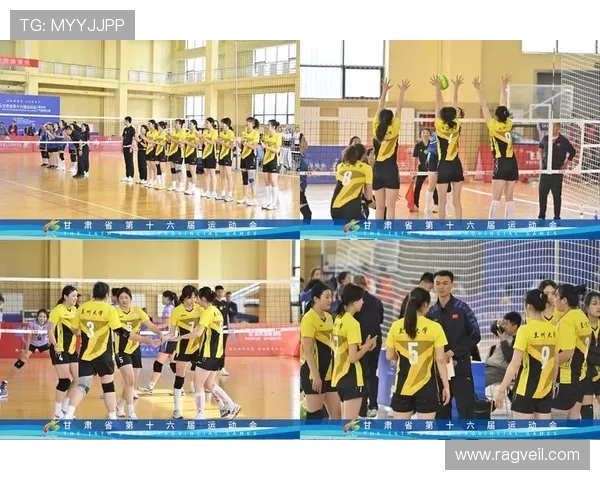 杭州排球队荣登排球比赛经验排行榜第三位展现实力与团队精神